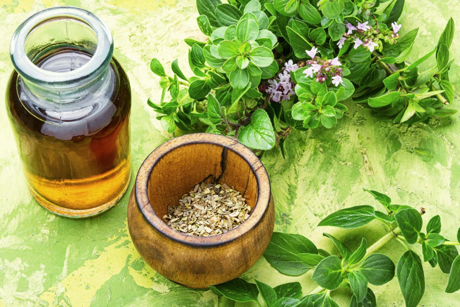 wellhealthorganic.com:health-benefits-and-side-effects-of-oil-of-oregano