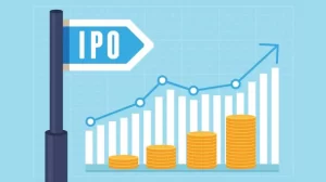 Expert Tips on How To Invest In IPO